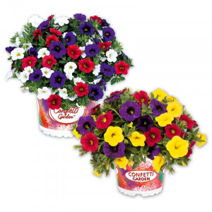 /ext/img/product/angebote/24_05_02/100_confetti-garden-trio-mix_wo_1.jpg
