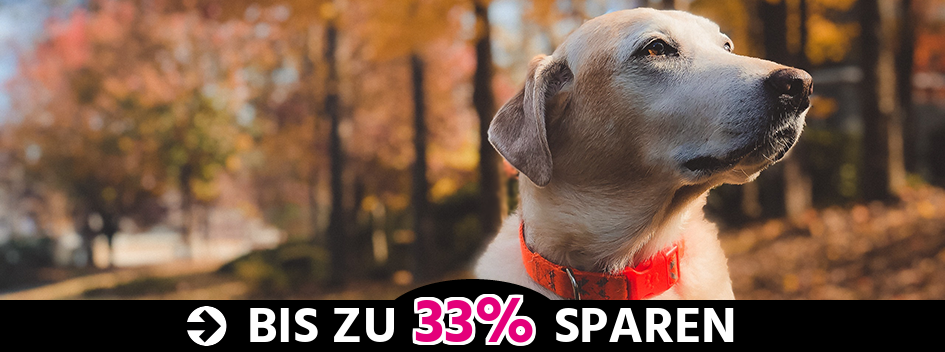 Ab Montag, 10.03.
