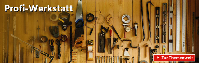 Profi-Werkstatt