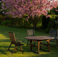 Thema »Mein Garten«