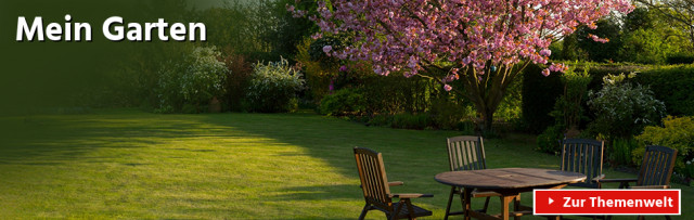 Mein Garten