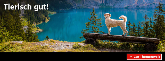 Tierisch gut!