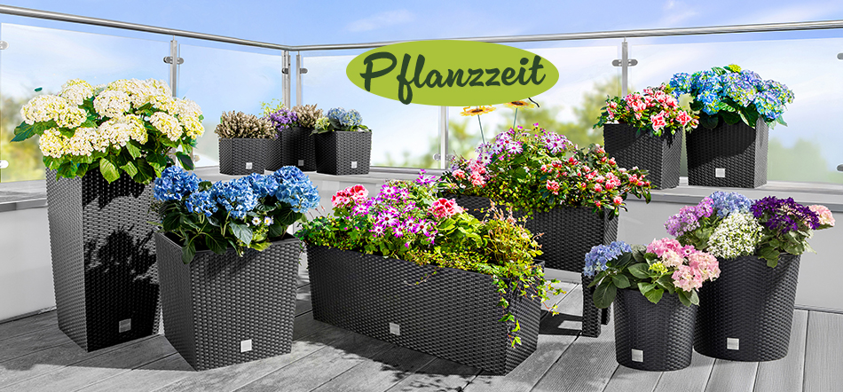 Pflanzzeit. Zum Thema mit den Gartenartikel-Angeboten