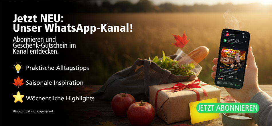 WhatsApp-Kanal abonnieren & Geschenk sichern!