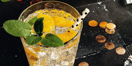 Winterlicher Mandarinen Gin-Tonic