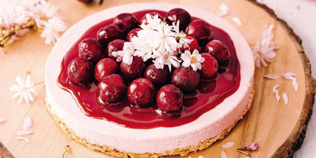 Cherry-Cheesecake
