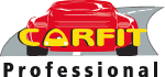 Carfit Professional