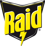 Raid