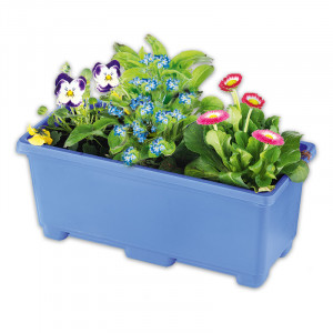 /ext/img/product/angebote/25_03_12/100_bunter-balkonkasten-fruehling_wo_1.jpg