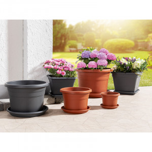 /ext/img/product/angebote/25_03_17/100_blumentopf-pflanzgefaess_299_wo_1.jpg