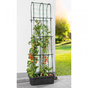 /ext/img/product/angebote/25_03_17/100_rankgitterwanne_1.jpg