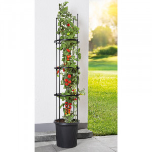 /ext/img/product/angebote/25_03_17/100_ranktopf_1.jpg