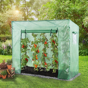 /ext/img/product/angebote/25_03_17/100_tomatengewaechshaus_1.jpg