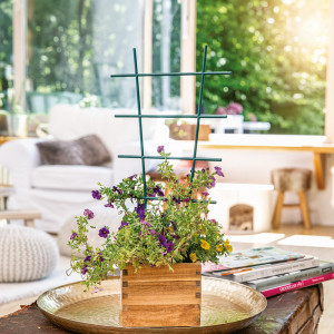 /ext/img/product/angebote/25_04_14/100_blumenstuetze_349_wo_1.jpg