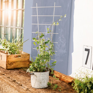 /ext/img/product/angebote/25_04_14/100_blumenstuetze_599_wo_1.jpg