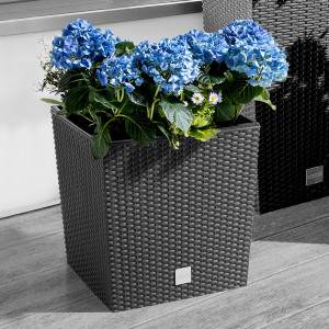 /ext/img/product/angebote/25_04_14/100_blumentopf_2999_1.jpg