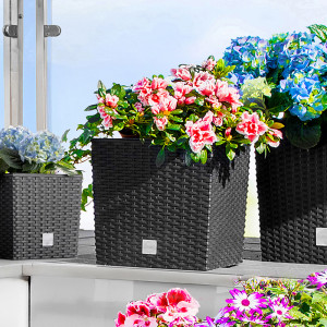 /ext/img/product/angebote/25_04_14/100_blumentopf_999_1.jpg