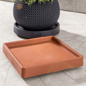 /ext/img/product/angebote/25_04_14/100_pflanzenroller_1.jpg