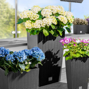 /ext/img/product/angebote/25_04_14/100_xl-pflanzsaeule_1.jpg