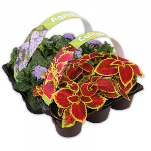 /ext/img/product/angebote/25_04_16/100_farb-akzente-gartenfreunde_wo_1.jpg