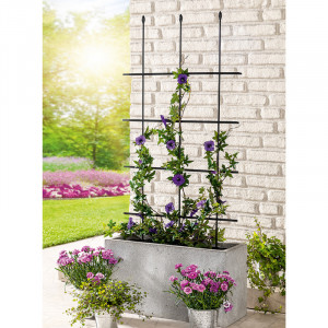 /ext/img/product/angebote/25_04_22/100_pflanzen-spalier_1.jpg