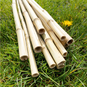 /ext/img/product/angebote/25_04_22/100_xl-bambusstaebe_wo_1.jpg