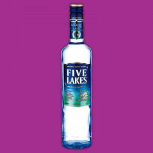 /ext/img/product/angebote/25_04_28/500_vodka_wo_1.jpg