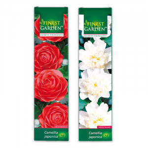 /ext/img/product/angebote/25_04_30/100_bluehende-gartenraritaeten_1.jpg