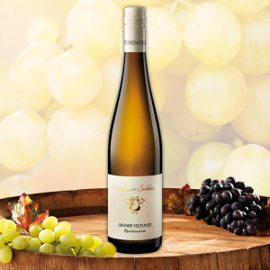 /ext/img/product/angebote/25_05/100_2023_gruener-veltliner_1.jpg