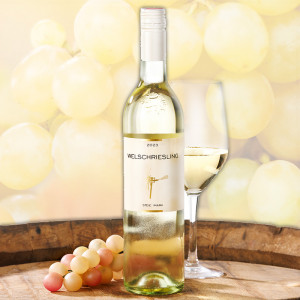Produktbild »2023 Weinkellerei Fuchs Welschriesling«