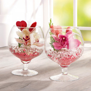 /ext/img/product/angebote/25_05_07/100_cymbidium_wo_1.jpg