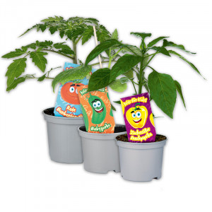 /ext/img/product/angebote/25_05_07/100_kindergemuese_wo_1.jpg