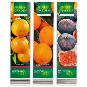/ext/img/product/angebote/25_05_07/100_mediterrane-pflanzen_wo_1.jpg