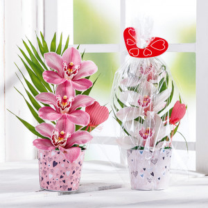 /ext/img/product/angebote/25_05_07/100_orchideengesteck_wo_1.jpg