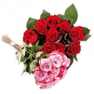 /ext/img/product/angebote/25_05_09/100_premium-floristenrosen_wo_1.jpg