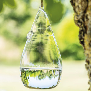 /ext/img/product/angebote/25_05_12/100_fliegenfrei-glas_1.jpg