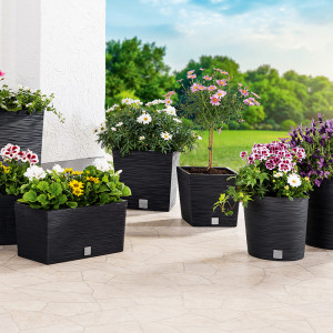 /ext/img/product/angebote/25_05_12/100_pflanzgefaesse_1599_wo_1.jpg