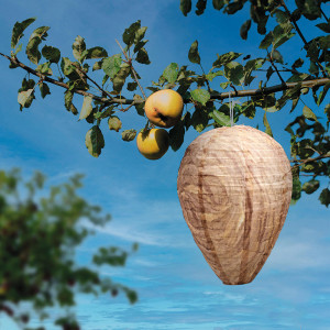 /ext/img/product/angebote/25_05_12/100_wespenfrei-premium_1.jpg