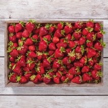 Erdbeeren aus Baden-Württemberg