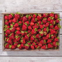 Rheinländer Erdbeeren