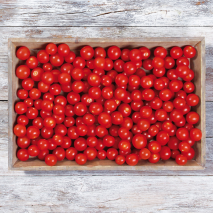Bayerische Kirschtomaten