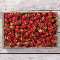 Erdbeeren aus unseren Landen