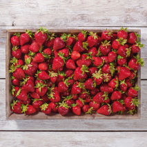 Pfälzer Erdbeeren