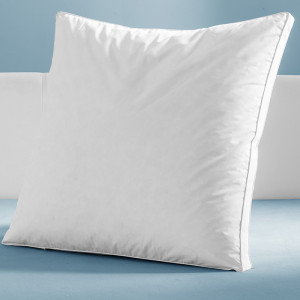/ext/img/product/angebote/25_05_26/100_federn-daunen-kopfkissen_1.jpg