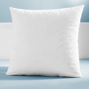 /ext/img/product/angebote/25_05_26/100_kopfkissen_1.jpg