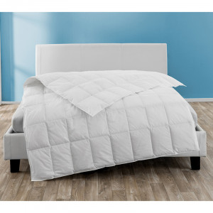 /ext/img/product/angebote/25_05_26/100_luxus-sommer-daunendecke_1.jpg
