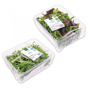/ext/img/product/angebote/25_05_26/1300_bio-salat_wo_1.jpg