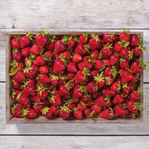 Erdbeeren aus Baden-Württemberg