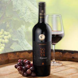 /ext/img/product/angebote/25_06/100_2024_appassimento-puglia_wo_1.jpg