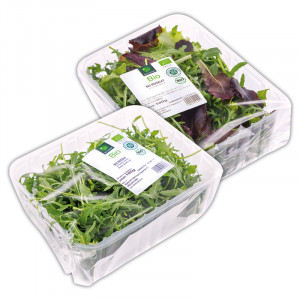/ext/img/product/angebote/25_06_02/1400_bio-salat_wo_1.jpg